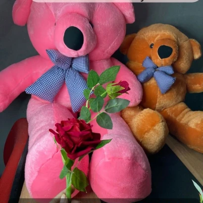 Extra large big Teddy  3.5 pink color  - Price in Bangladesh