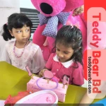 Extra large big Teddy 2.5 feet dark pink - Price in Bangladesh